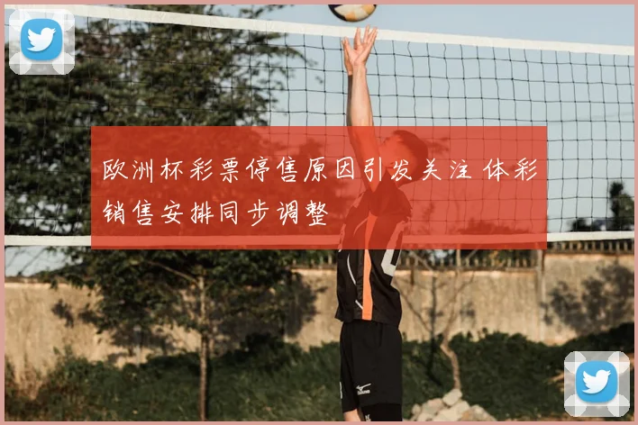 欧洲杯彩票停售原因引发关注 体彩销售安排同步调整