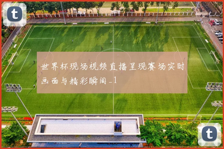 世界杯现场视频直播呈现赛场实时画面与精彩瞬间_1