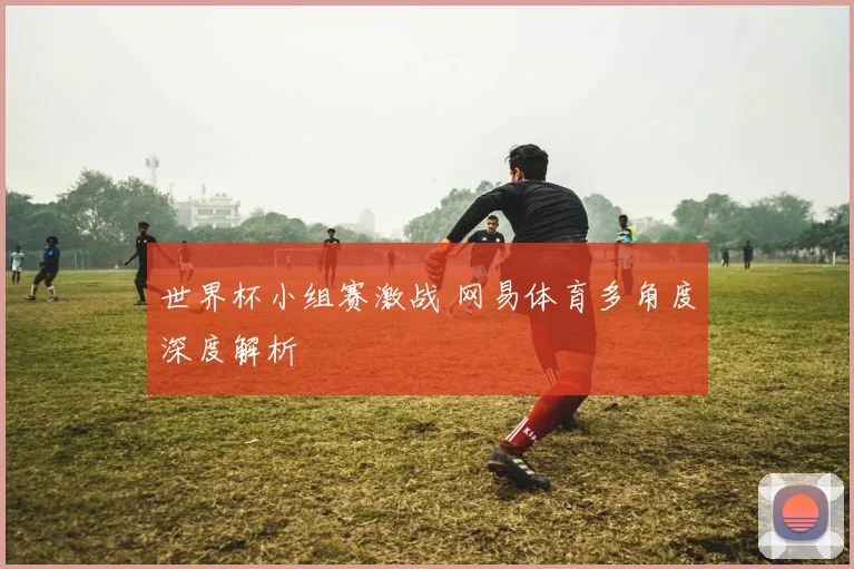 世界杯小组赛激战 网易体育多角度深度解析