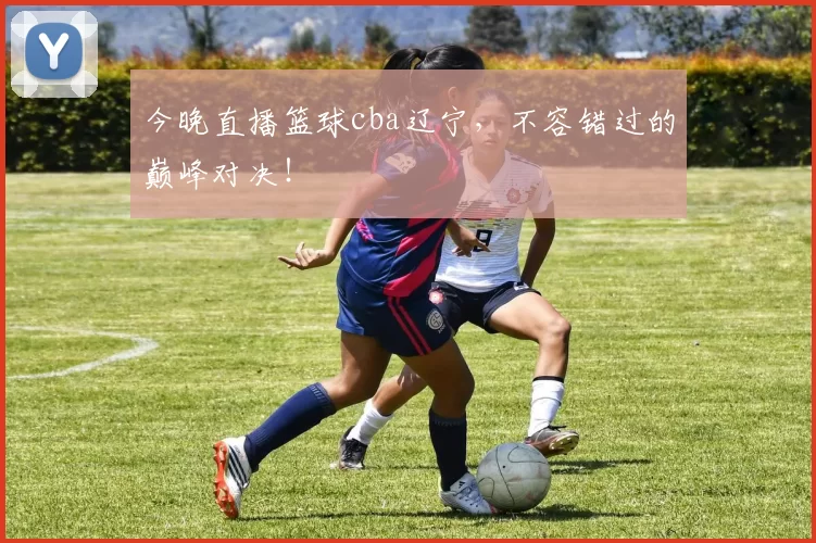 今晚直播篮球cba辽宁,不容错过的巅峰对决!